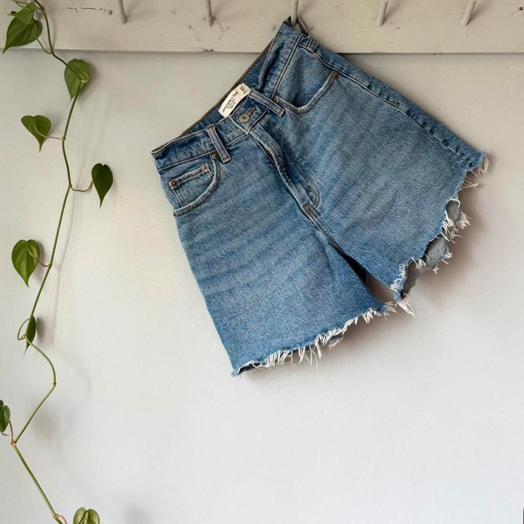 Abercrombie & Fitch Dad Shorts (00/24)